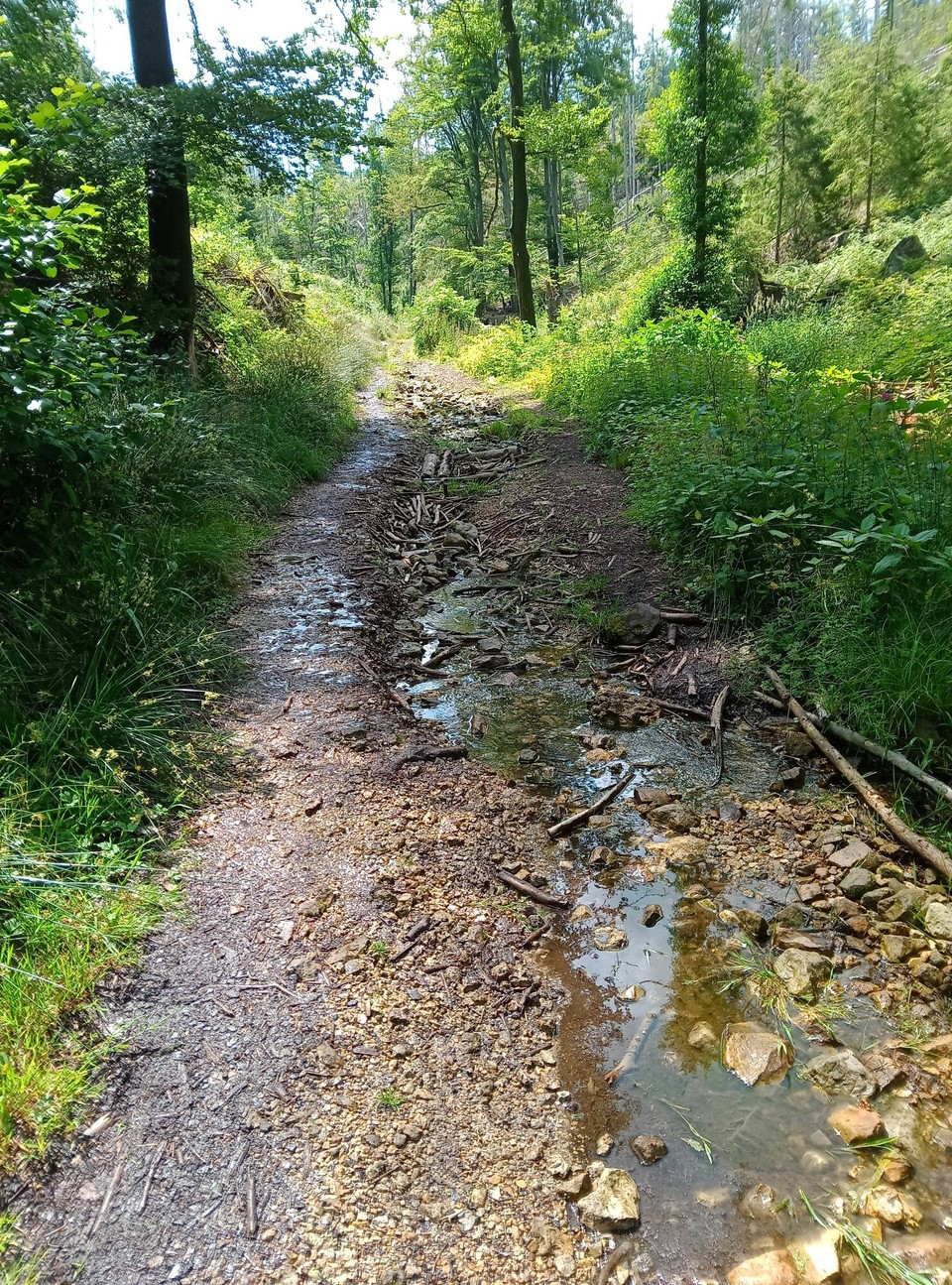 Deutschland - Horn-Bad Meinberg - Festes Schuhwerk ist hier ein Muss