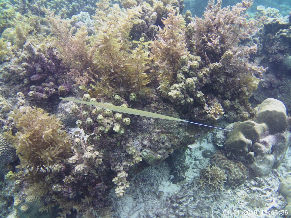 Philippinen - El Nido - 