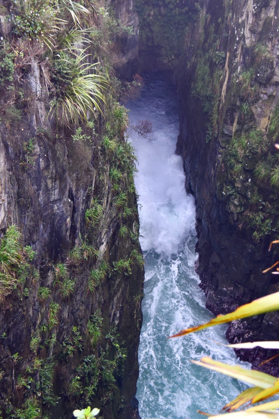 Neuseeland - Owaka - Wir hörten es zwar donnern wenn das Meer in den Tunnel drückte, jedoch war der Wasserstand um diese Uhrzeit zu gering als das es das Wasser in die Höhe schießen ließ.