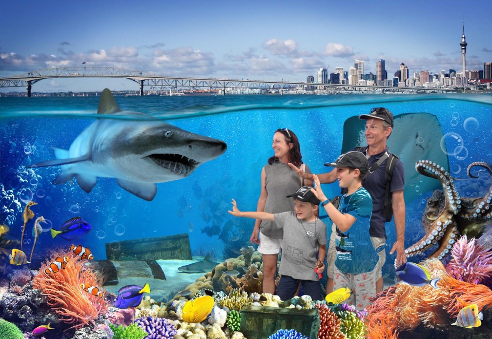 Neuseeland - Auckland - 