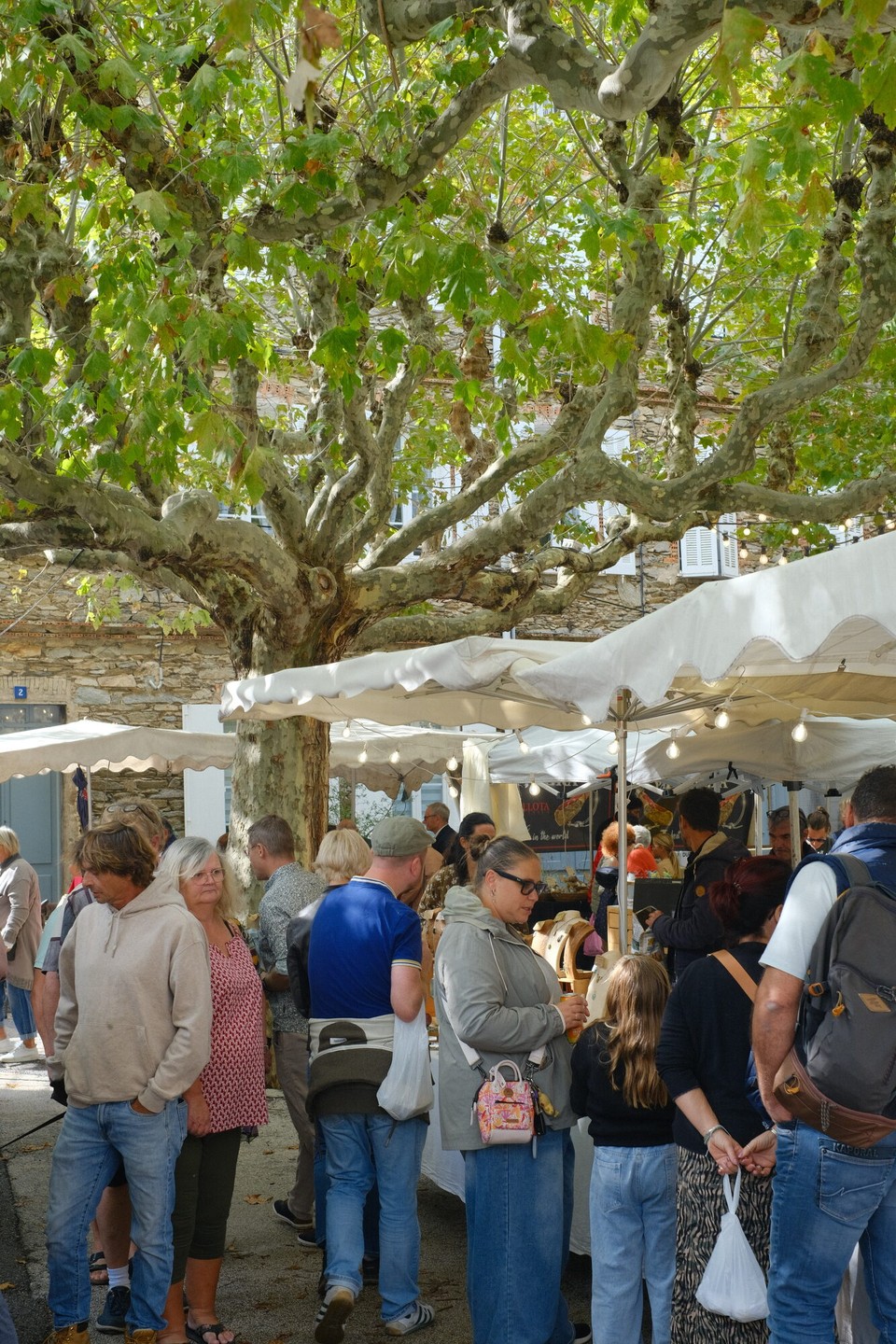 Frankreich - La Garde-Freinet - 