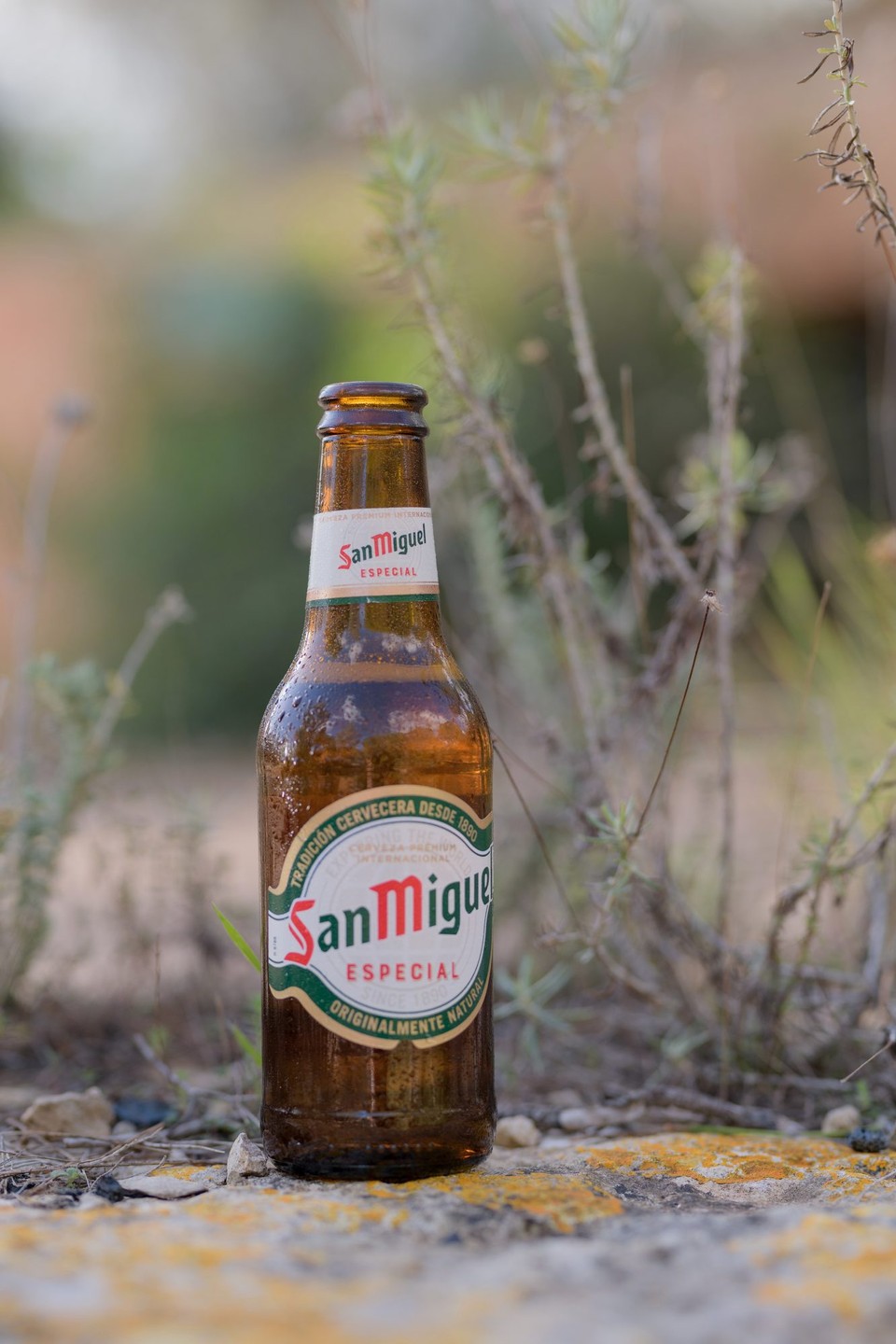 Spanien - ses Illetes - 
