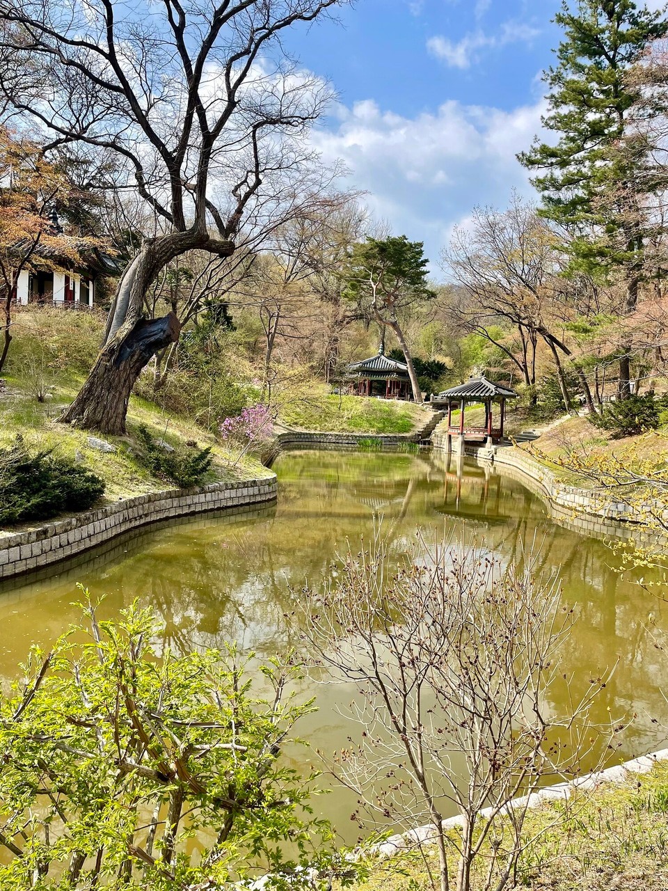 대한민국 - 서울특별시 - Secret Garden im Changdeokgung