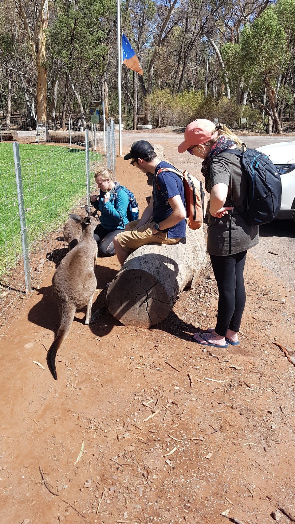 Australien - Via Hawker - 