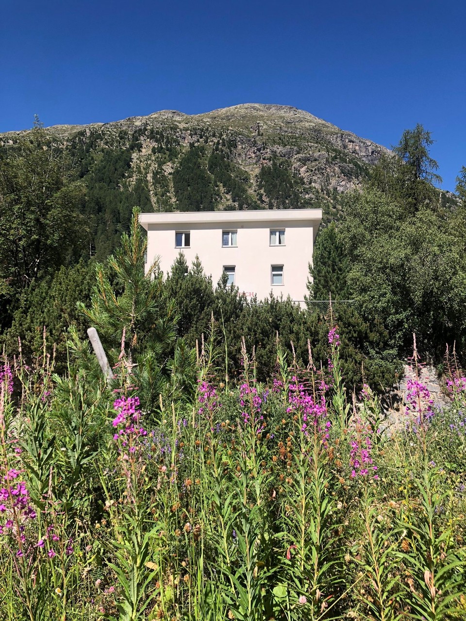 Schweiz - Pontresina - 