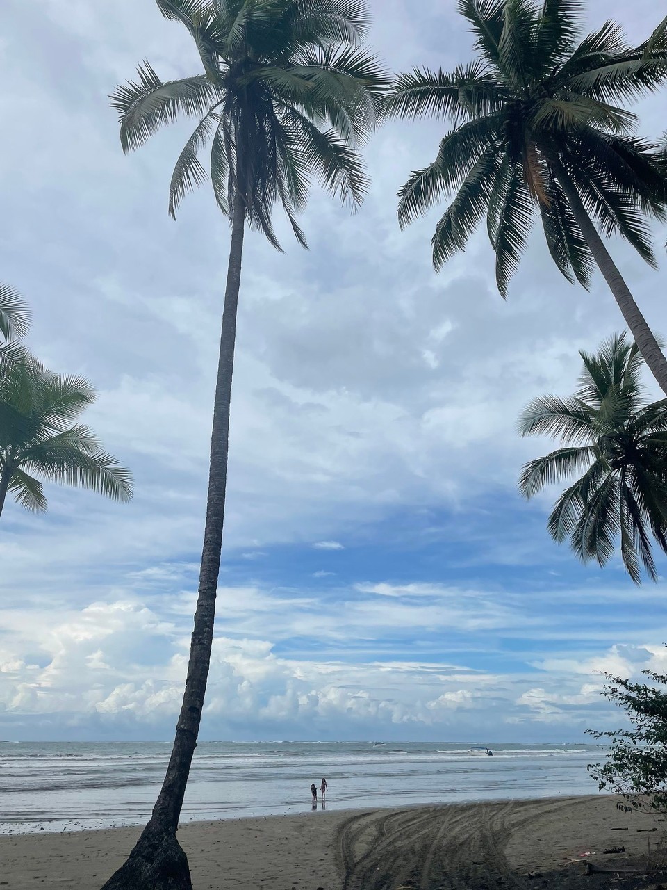 Costa Rica - Osa - Anschließend ging es in den Parque Nacional Marino Ballena 🌴 