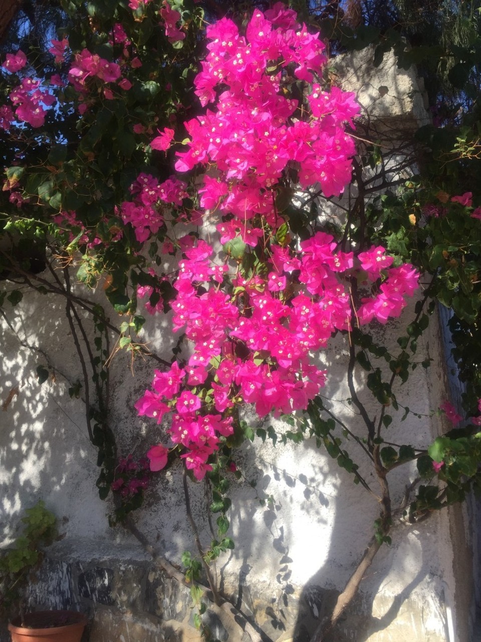 Türkei - Bodrum - 