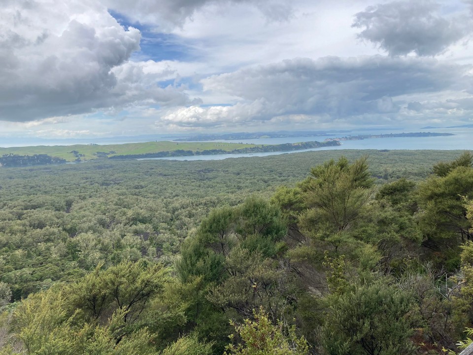 Neuseeland - Waitemata and Gulf Ward - 