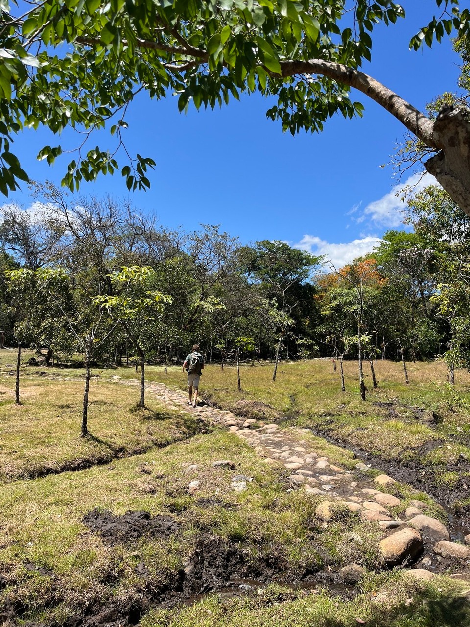 Panama - Boquete - 