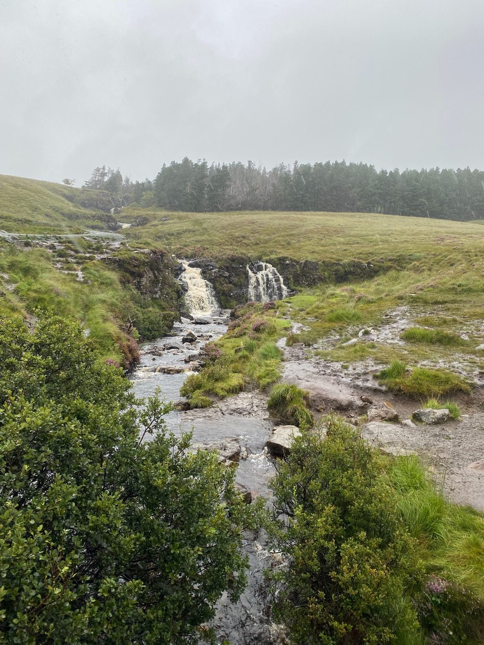 Vereinigtes Königreich - Skye - Fairypools am Anfang der Strecke.....weiter kamen wir nicht...