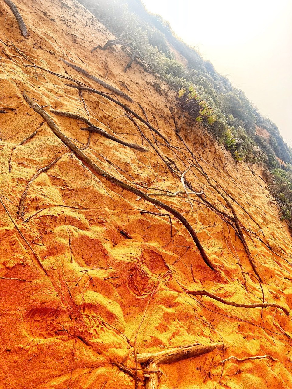 Ort bestimmen … -  - 