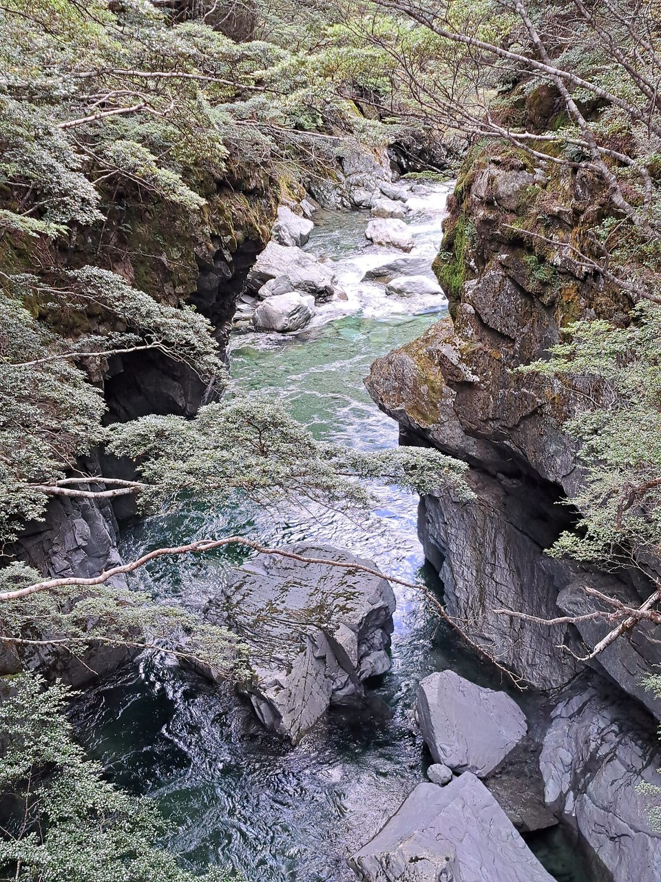 Neuseeland - Greenstone - 