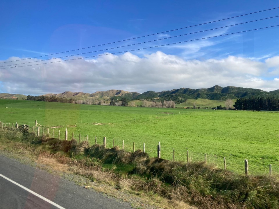 Neuseeland - Palmerston North - 