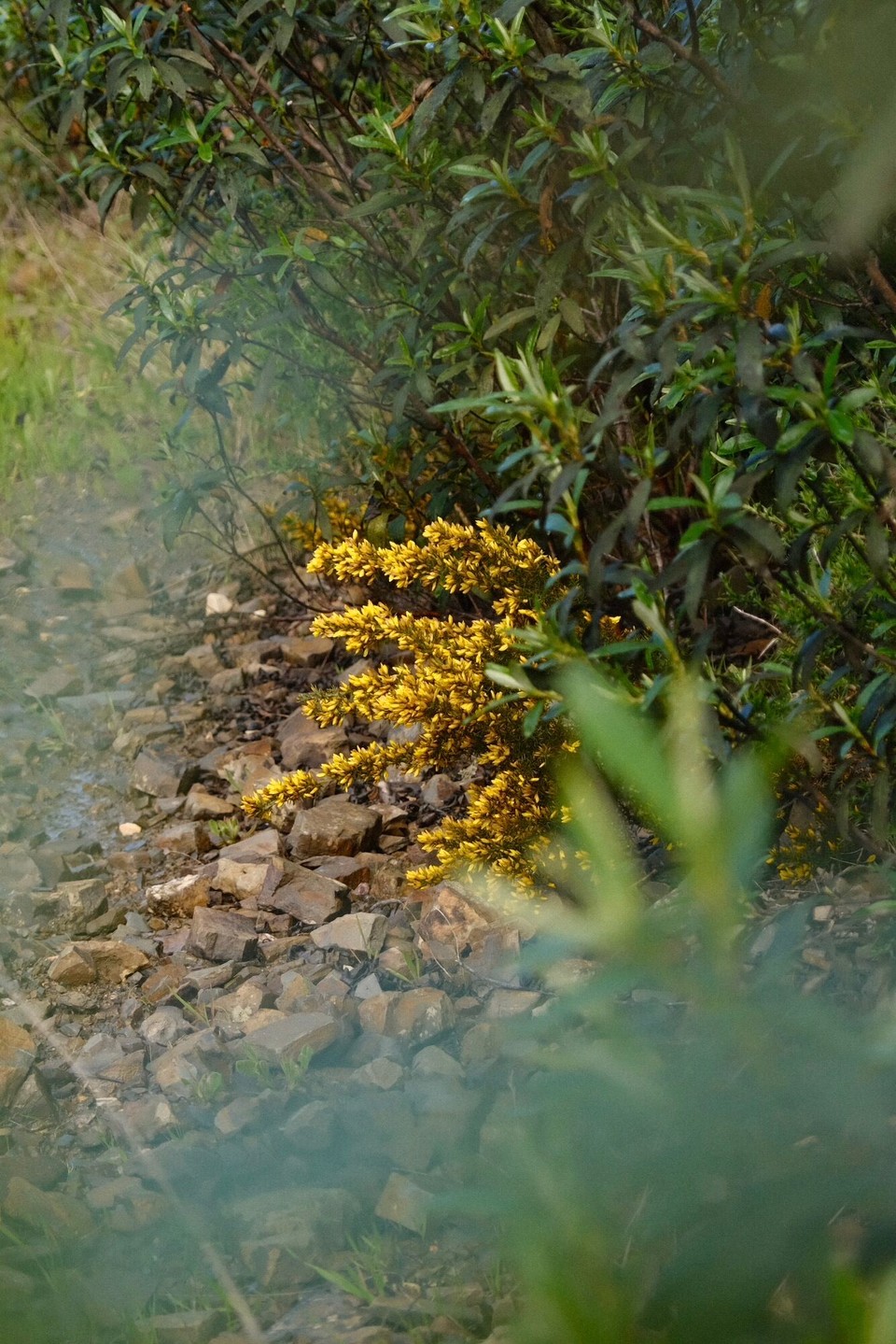 Portugal - Aljezur - 