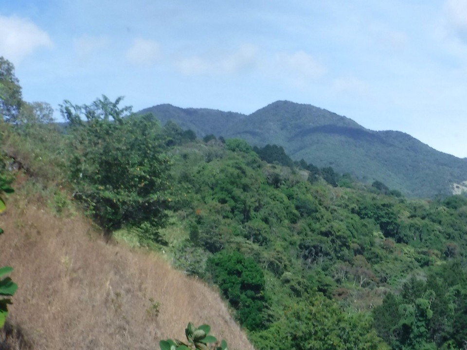 Costa Rica -  - 