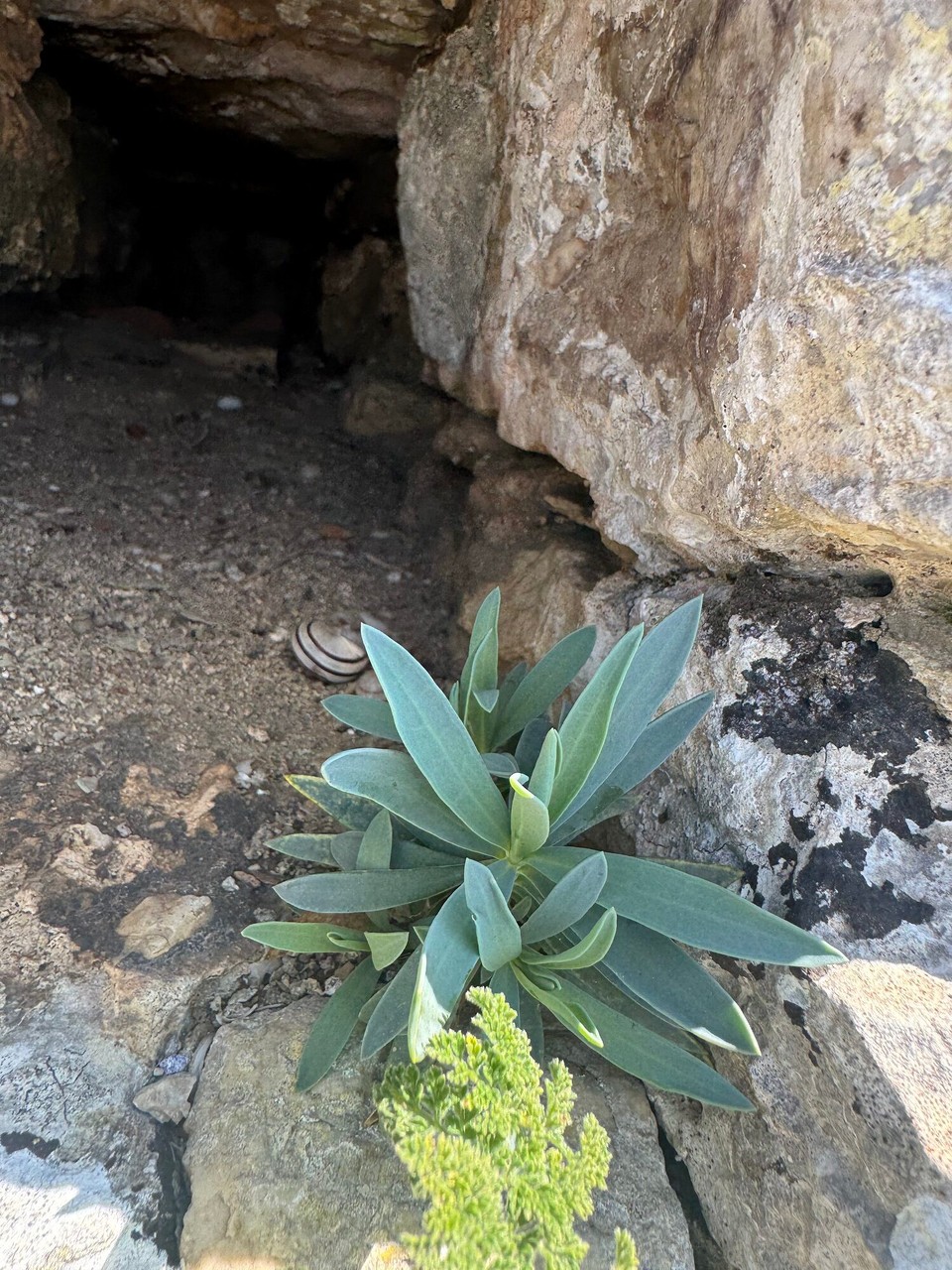 Italien - Castellammare del Golfo - 