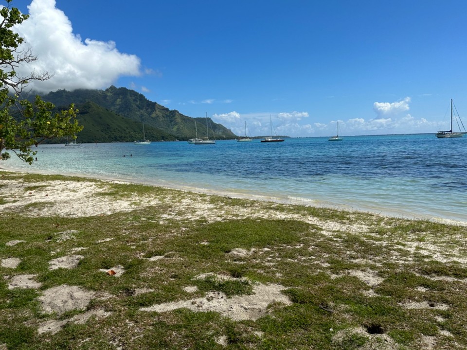 Französisch-Polynesien - Moorea-Maiao - da lässt es sich aushalten 