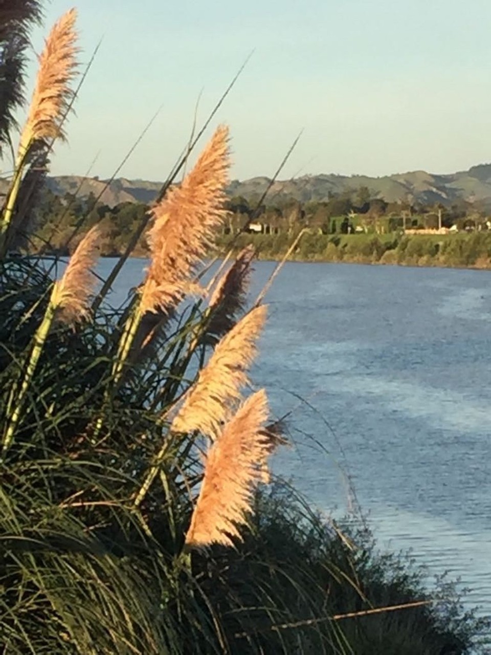 Neuseeland - Wanganui - am Whanganui River