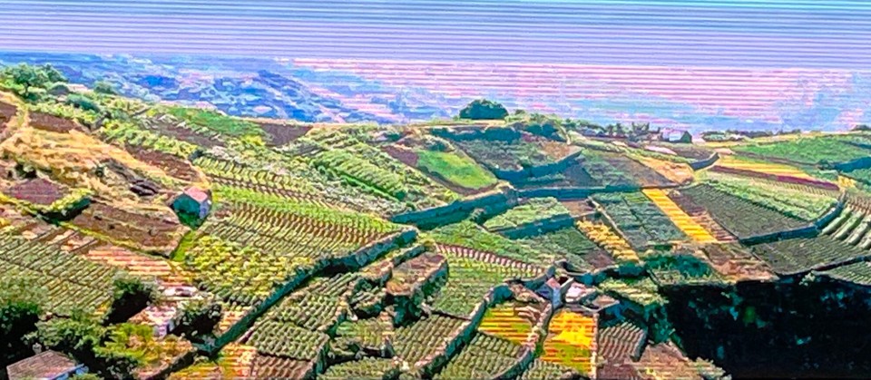 Portugal - Funchal - 