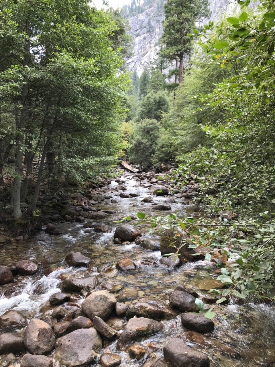 Vereinigte Staaten - Yosemite National Park - 