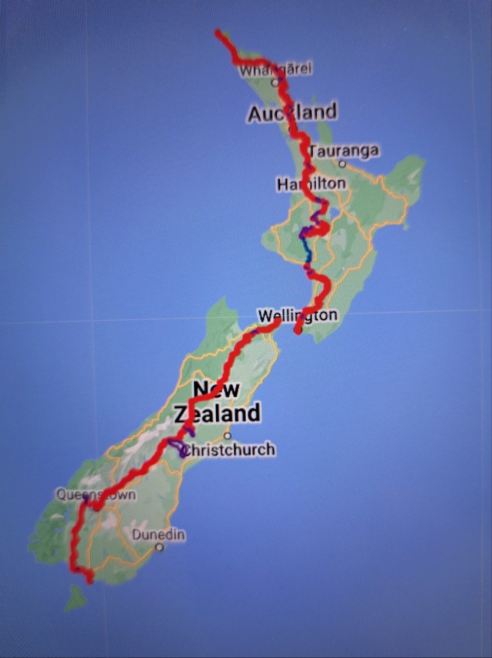 Neuseeland - Auckland - The long Pathway (der lange Pfad)