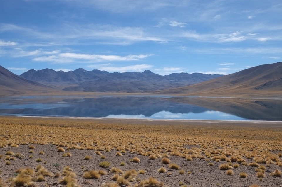 Chile - San Pedro de Atacama - 