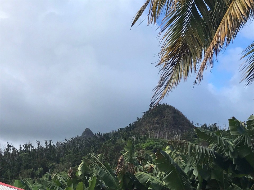 Dominica -  - 