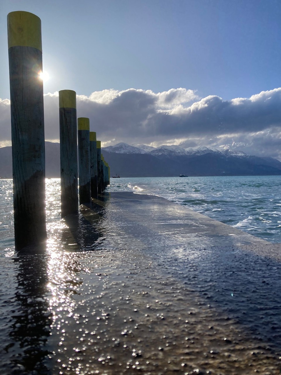 Neuseeland - Kaikōura - 
