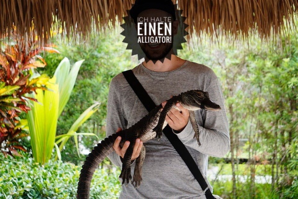  - Gator Park Everglades - 