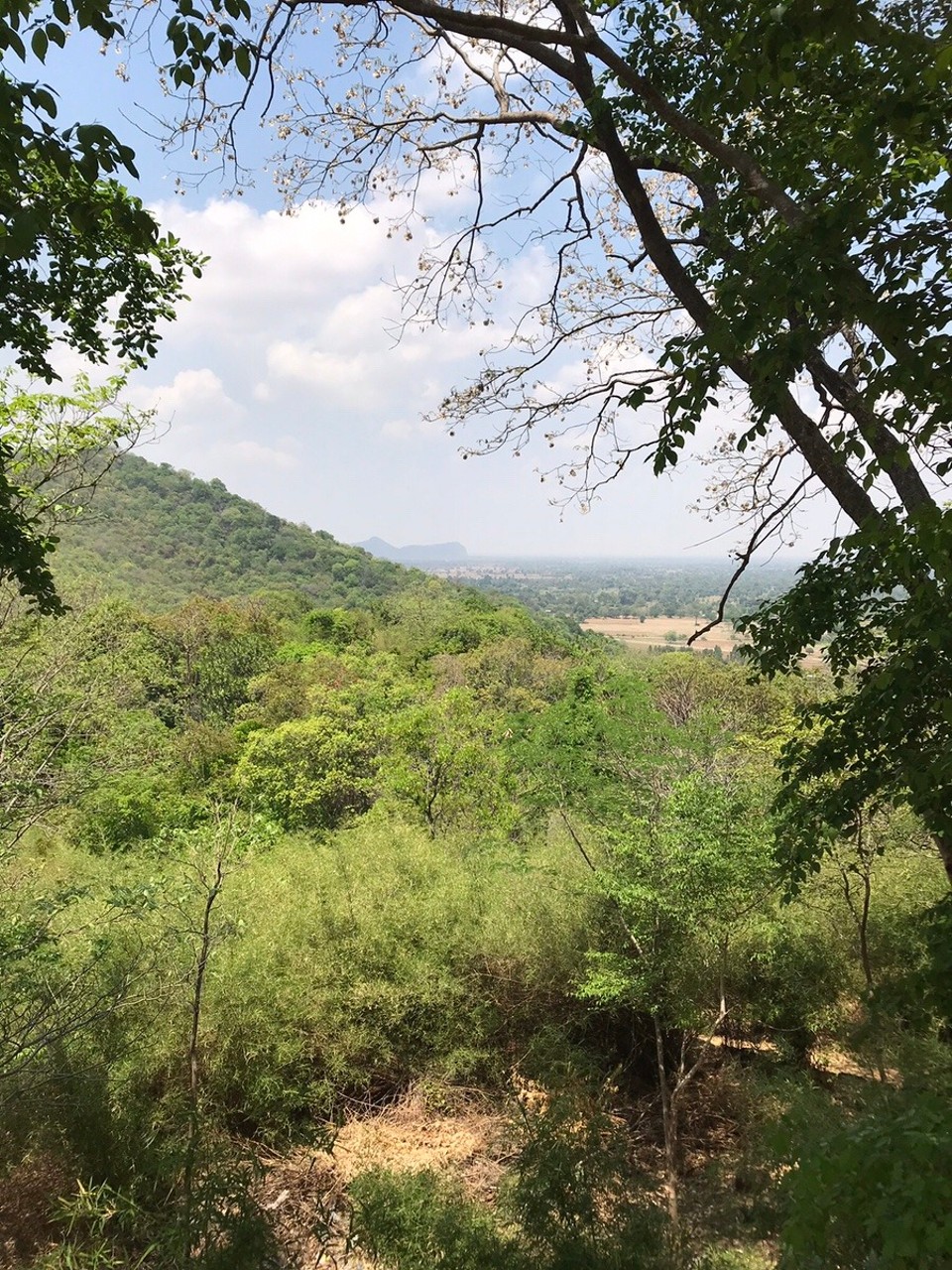 Cambodia - Battambang - 