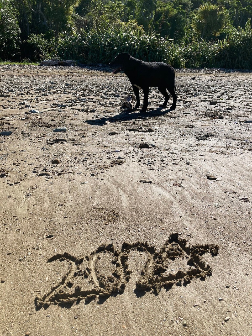 Neuseeland - Marlborough Sounds - Auf ein gesundes neues Jahr 2024 🥳
Der Hund wollte nicht von meinem Fotofeld verschwinden 🤷🏻‍♀️