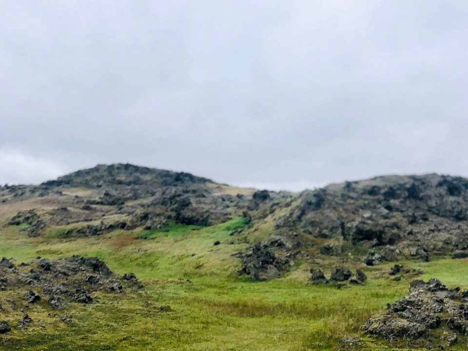 Island - Skútustaðahreppur - Der Lavafluss und die neu entstandene Vegetation ist hier schön zu erkennen.