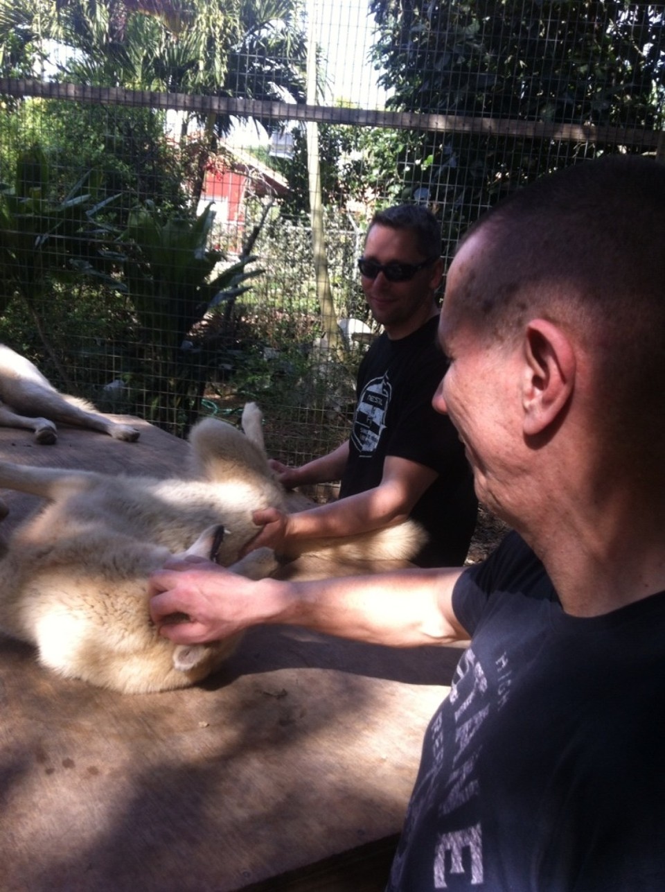 Egyesült Államok - Homestead - 