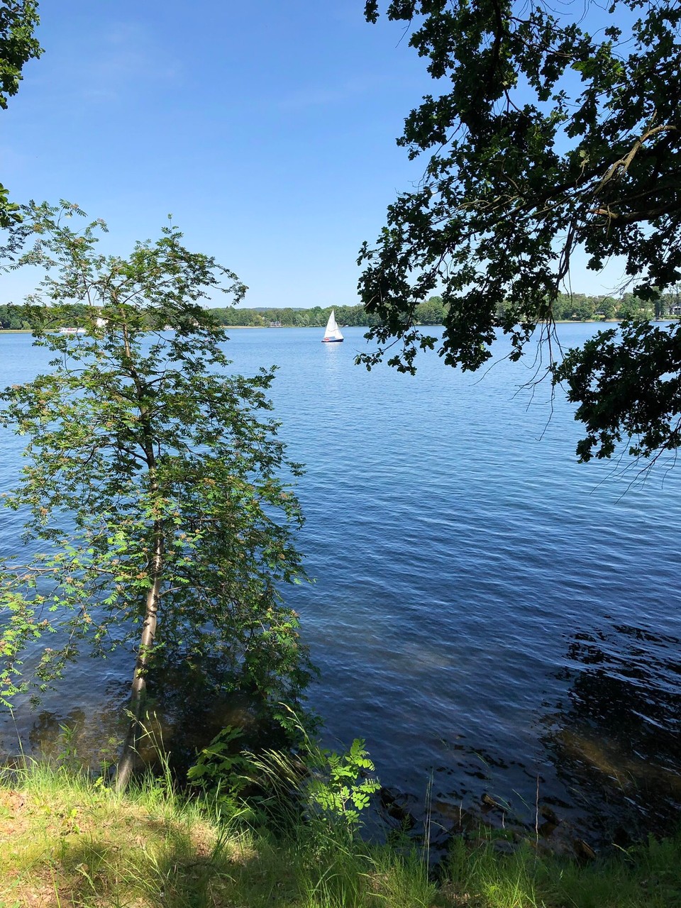 Deutschland - Bad Saarow - 