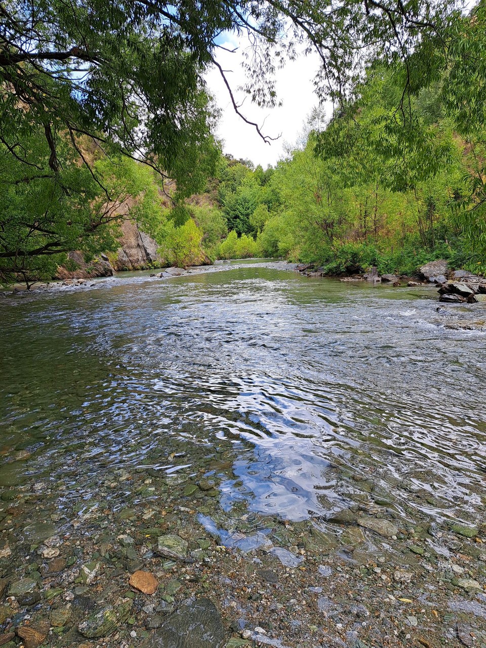 Neuseeland - Arrowtown - Der Arrow River musste immer wieder durchquert werden 