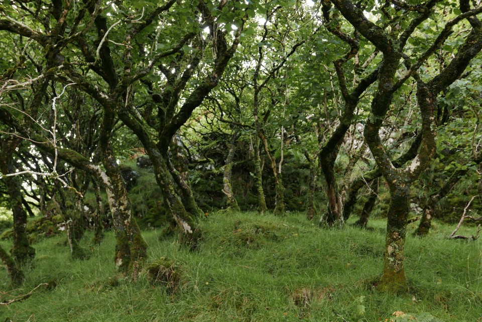 Vereinigtes Königreich - Skye - 