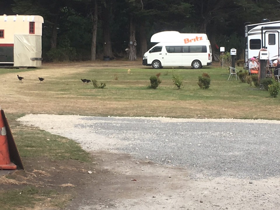 Neuseeland - Kaitoke - Wir übernachten im Lakelands Holiday Park. Dieser Campingplatz ist ziemlich klein und liegt direkt am See. Die Duschen sind schon etwas veraltet.