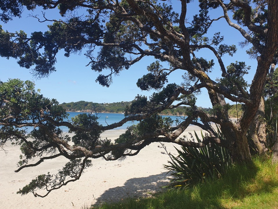 Neuseeland - Auckland - 