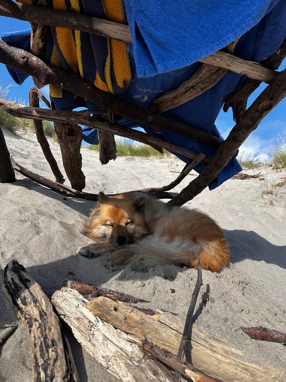 Portugal - Viana do Castelo - 