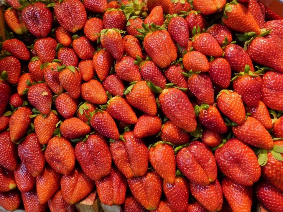 Spanien - Málaga - Diese Erdbeeren...mmmmmm 😋