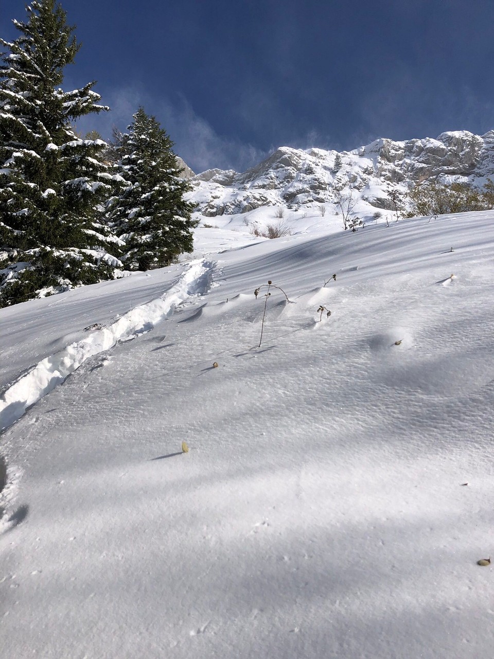 Frankreich - Villard de Lans - 