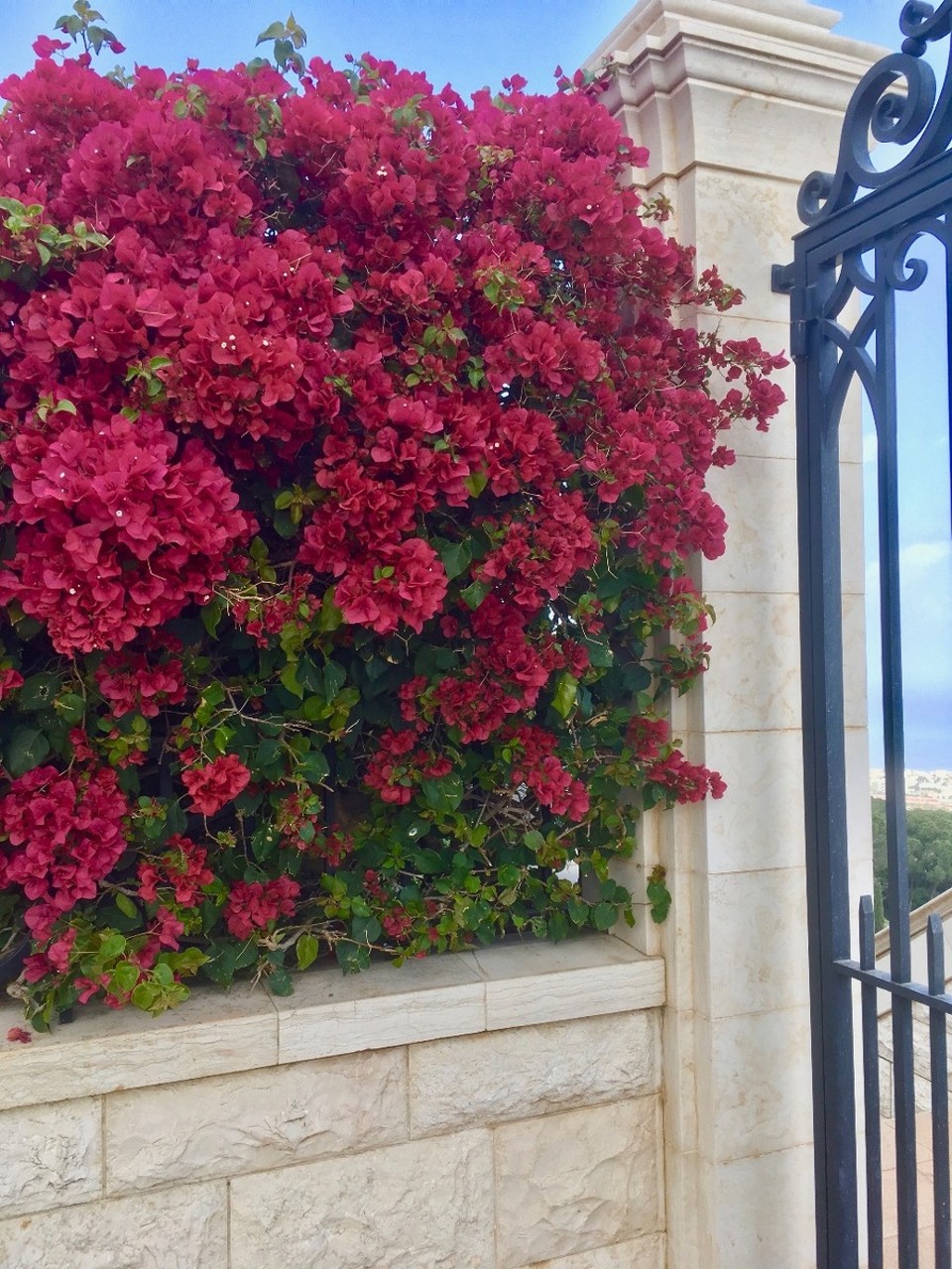 Israel - Haifa - 