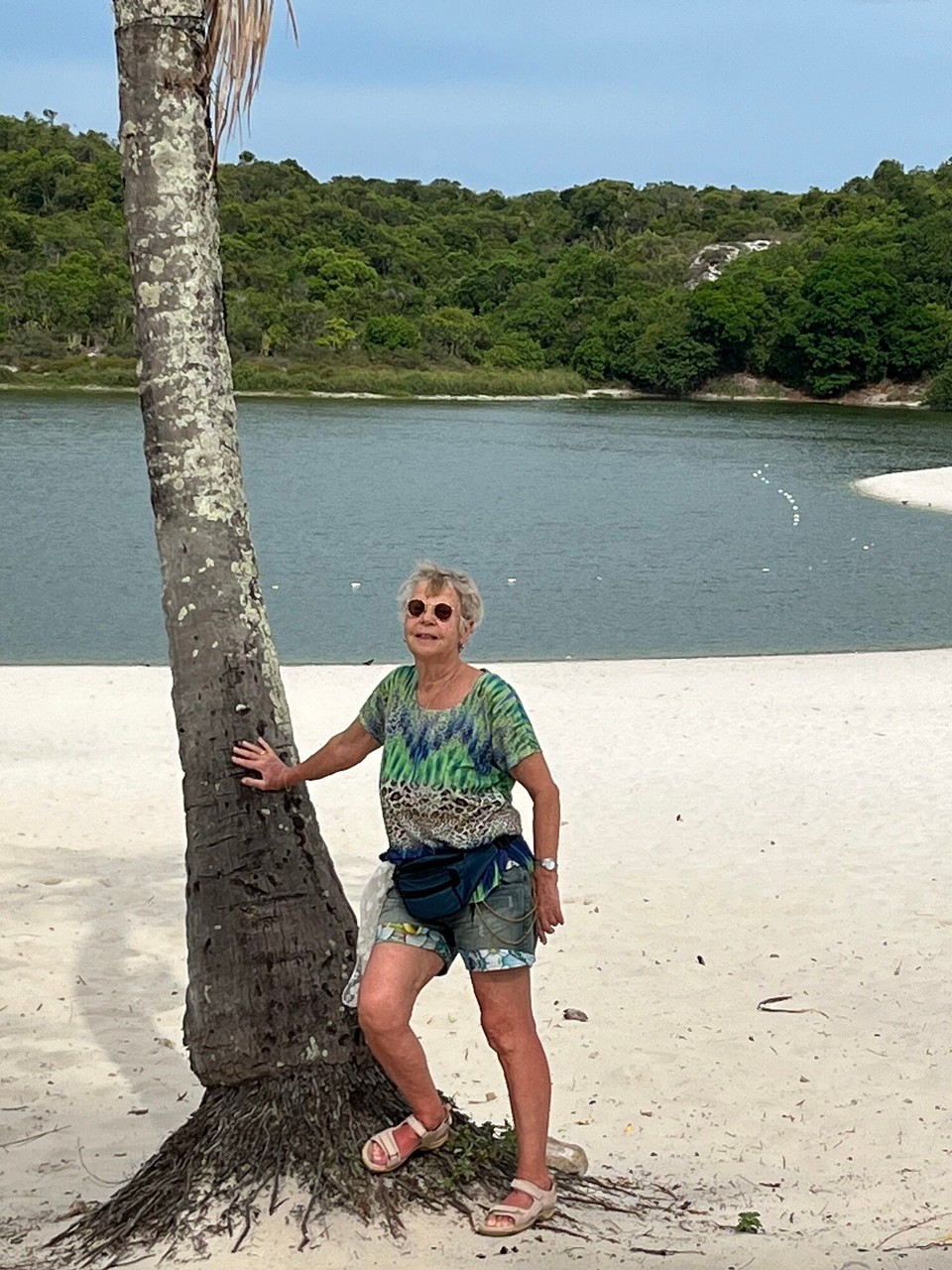 Brasilien - Salvador - Dünen schneeweiser Sand mit Palmen  