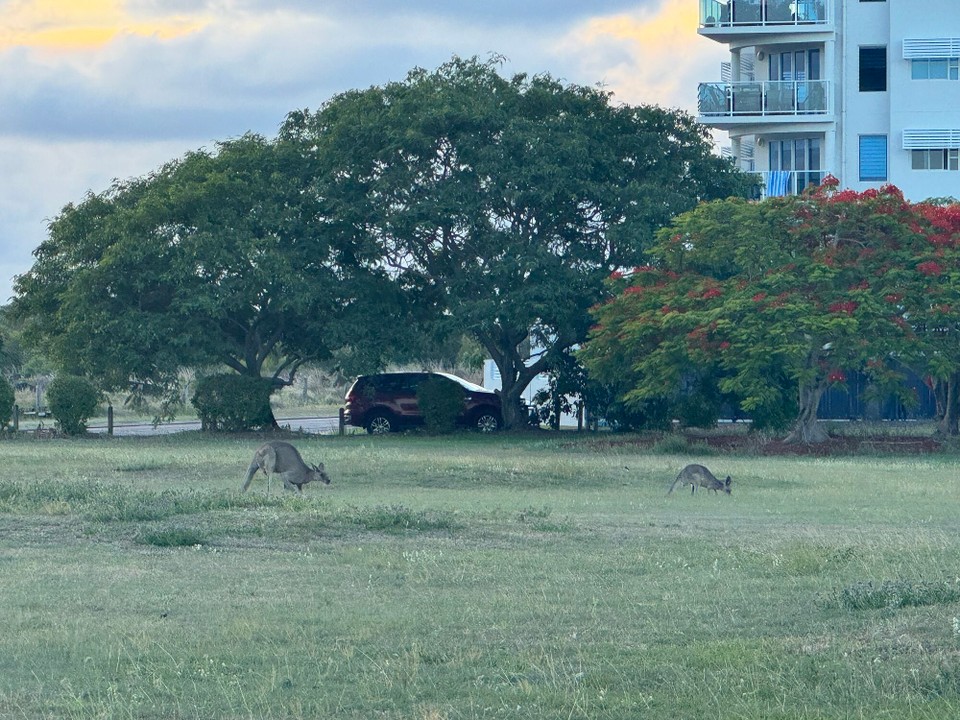 Australien - New Auckland - 
