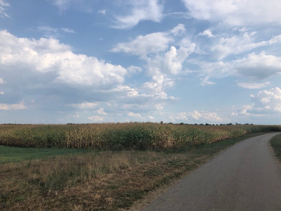 Deutschland - Tannheim - 