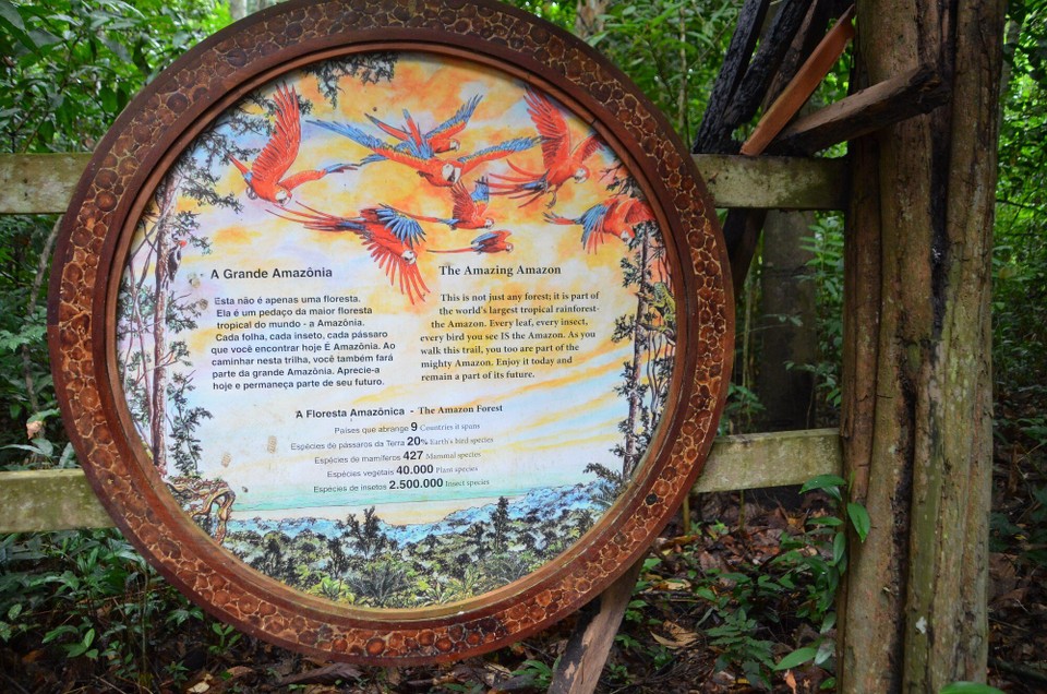 Brasilien - Alter do Chão - Panno mat Zuel vu Lebewesen am Urwald