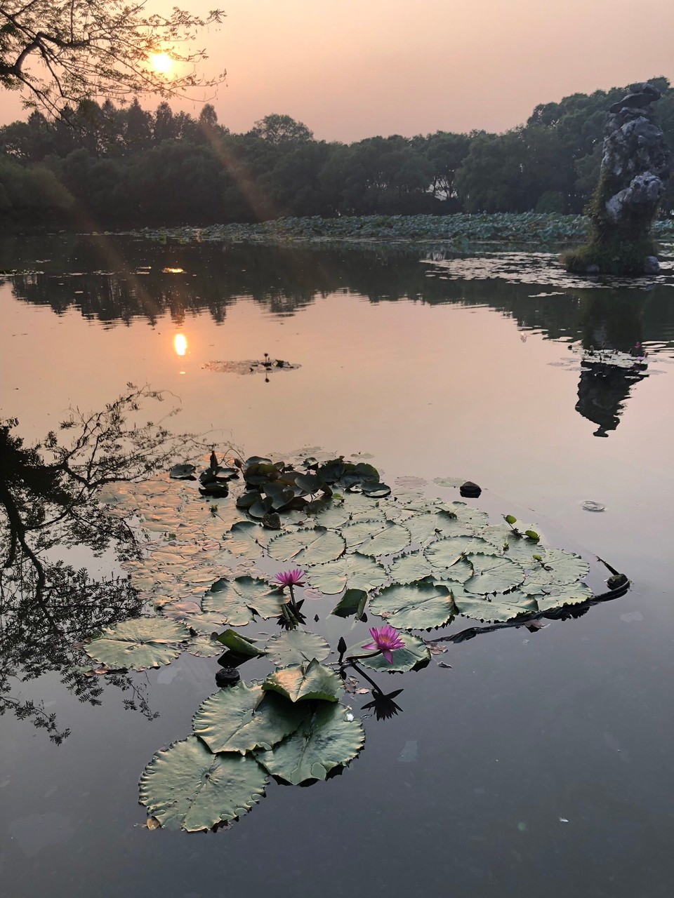China - Hangzhou - 