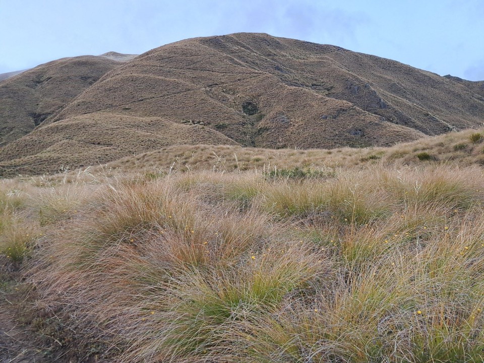 Neuseeland - Arrowtown - 