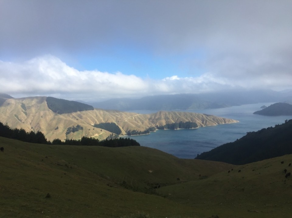 Neuseeland - French Pass - 
