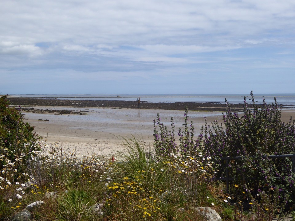 Ireland - Kilmore Quay - View over Forlorn Point, a spit of land.